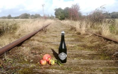 En hyldest til den forfriskende æblecider