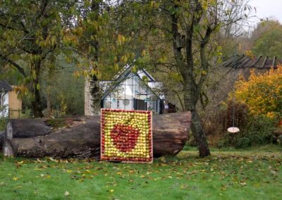 Mosaik i æbler fra ciderkonkurrence til Æblefestival Assens