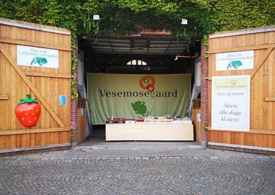 Vesemosegaard